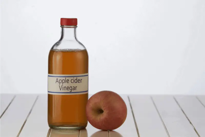 Can You Pickle With Apple Cider Vinegar? 