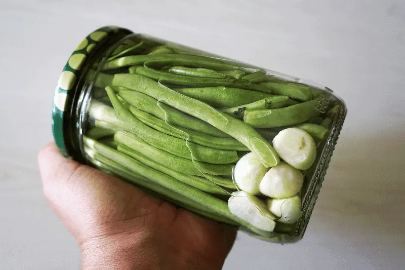 How To Pickle Green Beans At Home A StepByStep Guide To Perfect Pickles Pickle Anything