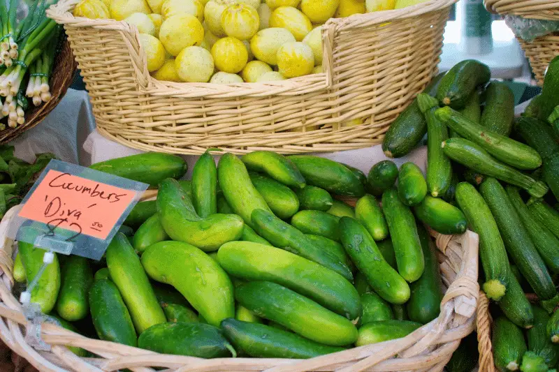 Best Cucumbers For Pickling