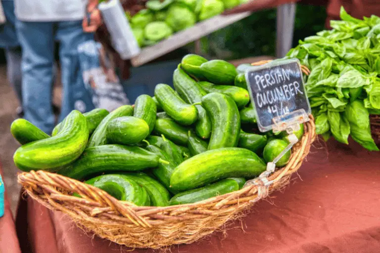 Are Persian Cucumbers The Best For Pickling? Here's What You Need To