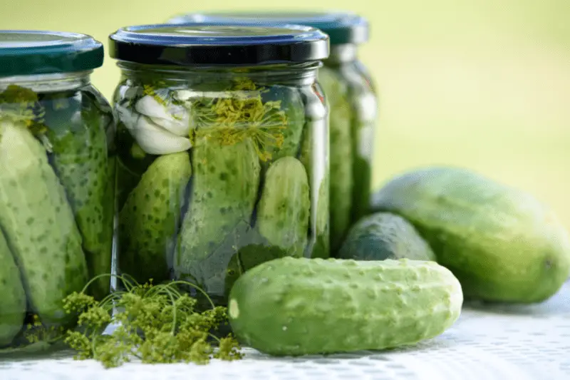 difference between polish pickles and kosher pickles