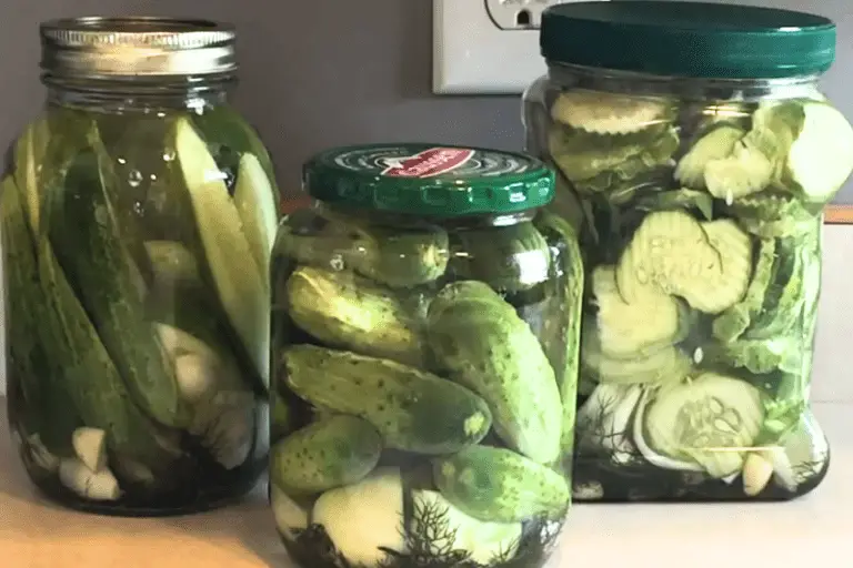 How to Make the Best Homemade Claussen Dill Pickles A Crispy and