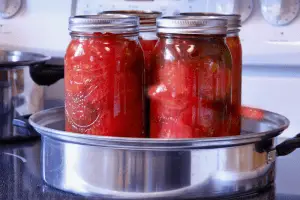 Pickling Safety 101: Top Guidelines to Avoid Spoilage and Enjoy Perfect