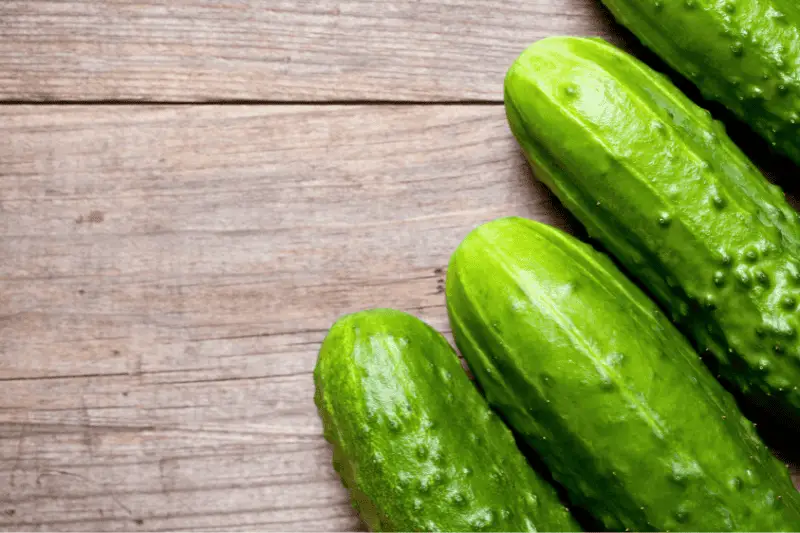 Best Cucumber for Pickling