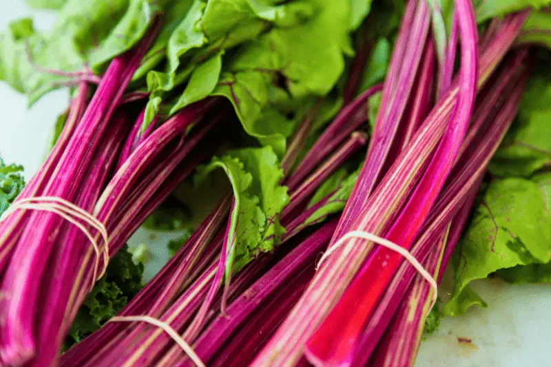 Pickling Rhubarb: Unique Pickling Spices and Pairings
