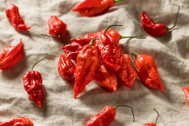 How to Pickle Ghost Peppers