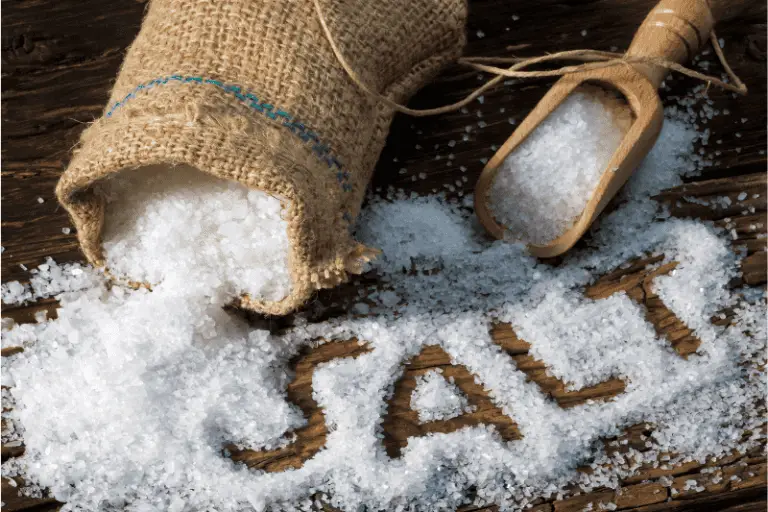 The ultimate guide to choosing the best salt for pickling pickle anything