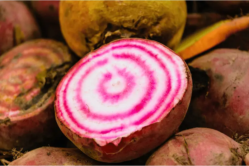 Can You Pickle Chioggia Beets?