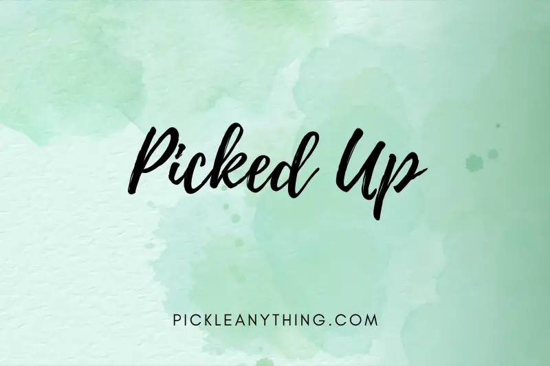 “Picked Up: A Tale of Unexpected Discoveries and Life-Changing Moments”