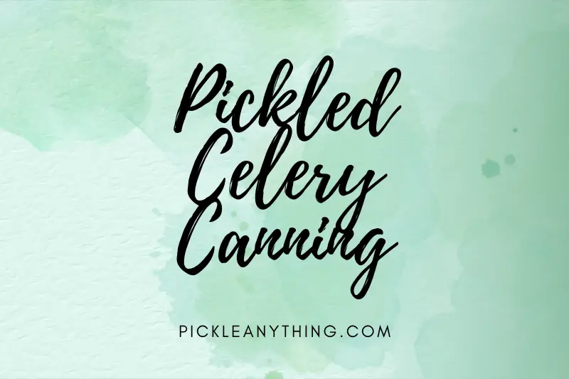 “Canning Pickled Celery: A Simple and Savory Recipe Perfect for Preserving the Crunchiness”