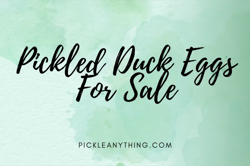 “Pickled Duck Eggs for Sale: Discover the Delightful and Unique Treat You’ve Been Missing Out On”