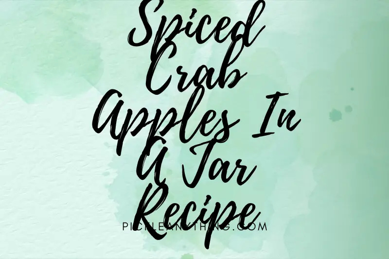 “Spiced Crab Apples in a Jar Recipe: A Delightfully Tangy Twist for Your Palate!”